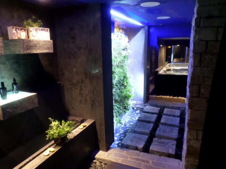 Le mur végétal se situe dans un passage étroit, lieu de transition entre les bains du spa et le lieu d'accueil